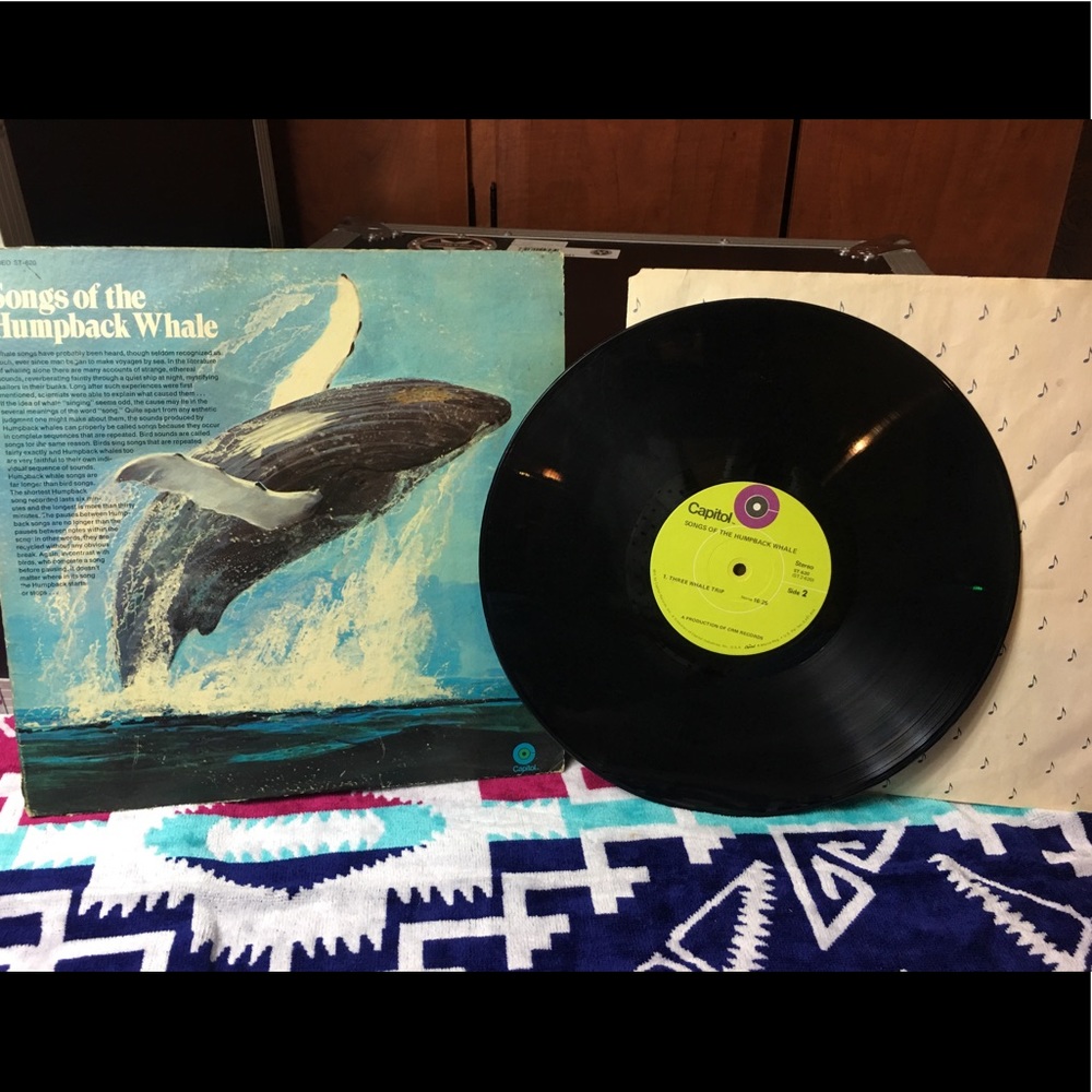 Songs Of The Humpback Whale Songs